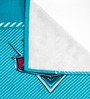 Blue Cotton Disney Cars 400 GSM Hand Towel (Pack of 2)