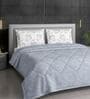 Blue Cotton Heavy Winter 210TC Printed Double 400GSM Comforter