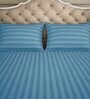 Blue Striped 300 TC Cotton Blend Queen Sized Bed Sheets with 2 Pillow Covers