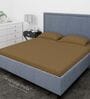 Brown Cotton Solid Finest 300TC Plain Super King Bedsheet with 2 Pillow Covers