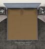 Brown Cotton Solid Finest 300TC Plain Super King Bedsheet with 2 Pillow Covers