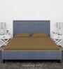Brown Cotton Solid Finest 300TC Plain Super King Bedsheet with 2 Pillow Covers