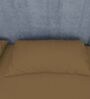 Brown Cotton Solid Finest 300TC Plain Super King Bedsheet with 2 Pillow Covers