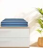 Blue Cotton Striped 220 GSM Bath Towels 2 Pc