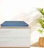 Blue Cotton Striped 220 GSM Bath Towels 3 Pc