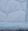 Blue Cotton 120 Room Temperature Double Bed Quilt