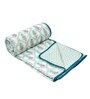 Green Cotton Traditional 220 GSM Double Bed Dohar