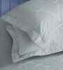 Blue Ethnic Motifs 300 TC Cotton King Size Bed Sheet with 2 Pillow Covers 24 Collection