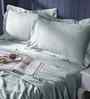Blue Ethnic Motifs 300 TC Cotton King Size Bed Sheet with 2 Pillow Covers 24 Collection