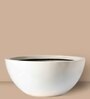 Off White Fiberglass Curvy Shape planter