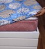 Blue Floral Fitted 120 TC Cotton 1 Bedsheet & 2 Pillow Covers