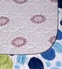Blue Fitted 120 TC Cotton 1 Bedsheet & 2 Pillow Covers