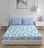 Blue Floral 104 TC Cotton Queen Sized Bed Sheets with 2 Pillow Covers