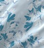 Blue Floral 104 TC Cotton Queen Sized Bed Sheets with 2 Pillow Covers