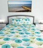 Blue Floral 144 TC Cotton King Size Bedsheet With 2 Pillow Covers