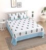 Blue Floral 144 TC Cotton King Bedsheet and 2 Pillow Cover