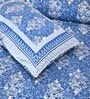Blue Floral 144 TC Cotton King Bedsheet and 2 Pillow Cover