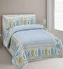 Blue Floral 144 TC Cotton King Bedsheet and 2 Pillow Cover