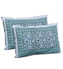 Blue Floral 144 TC Cotton King Bedsheet and 2 Pillow Cover