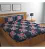 Blue Floral 144 TC Cotton King Sized Bedsheet Bedsheet 2 Pillow Rose Collection