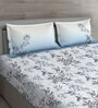 Blue Floral 144 TC Cotton Queen Sized Bed Sheets with 2 Pillow Covers