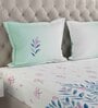 Blue Floral 144 TC Cotton Queen Sized Bed Sheets with 2 Pillow Covers