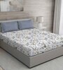 Blue Floral 144 TC Cotton Queen Sized Bed Sheets with 2 Pillow Covers