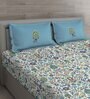 Blue Floral 150 TC Cotton Queen Sized Bed Sheets with 2 Pillow Covers