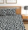 Blue Floral 180 TC Microfiber Double Queen Bedsheet With 2 Pillow Covers