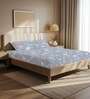 Blue Floral 200 TC Microfiber Double Bedsheet with 2 Pillow Covers