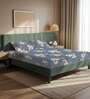 Blue Floral 200 TC Microfiber King Sized Bedsheet with 2 Pillow Covers