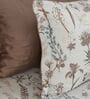 Off White Floral 210TC 100% Cotton Printed Flat Super King Bedsheet With 2 Pillow Covers