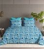 Blue Floral 210TC Cotton Super King Sized Double Bedsheet with 2 Piping Pillow Covers