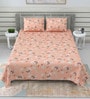 Pink Floral 220 Tc Cotton Super King Bedsheet With 2 Pillow Covers