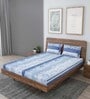 Blue Floral 240 TC Cotton King Sized Bed Sheets with 2 Pillow Covers