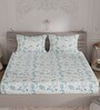 Blue Floral 300 TC 100% Cotton Double Bedsheet With 2 Pillow Covers Amorous Collection