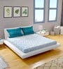 Blue Floral 390 TC Cotton Double Queen Bedsheet With 2 Pillow Covers