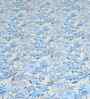 Blue Floral 4 Pcs Comforter Set With Queen Size Bedsheet With 2 Pillow Covers