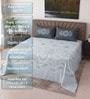 Blue Floral 400 TC Super King Size Bedsheet with 2 Pillow Covers Luxury Series Collection