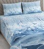 Blue Floral 400 TC Cotton Superking Size Bedsheet With 2 Pillow Covers Threads Digital Collection
