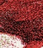Blue Floral Polypropylene 6 ft x 4 ft Machine Made Carpet