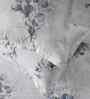 Blue Floral Print 300 TC Cotton Double Bed Sheet with 2 Pillow Covers Sensory Bloom Collection