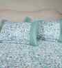 Blue Fruit Print 200 TC Cotton King Size Bed Sheet with 2 Pillow Covers Sensory Bloom Collection