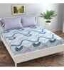 Blue Geometric 144 TC Cotton Queen Sized Bedsheet Bedsheet 2 Pillow Prime Collection