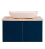 Stainless Steel Bathroom Vanity in Blue With Counter Top Wash Basin