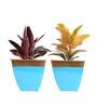 Blue Metal Midland Floor Planter (Set of 2)