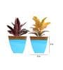 Blue Metal Midland Floor Planter (Set of 2)
