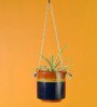 Blue Owl Earthen NA Hanging Planter with Stand