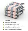 Blue & Pink Stripes  210 GSM 100% Cotton Bath Towel (Set of 3)