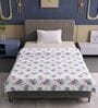 Blue Pink Cotton Floral 120 Gsm Single Dohar